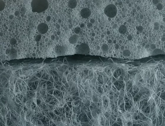 Schallabsorption