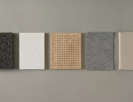 Absorptionsgrad